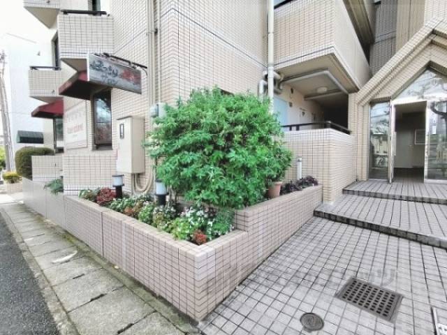 植栽