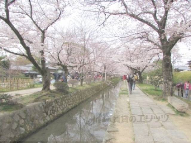 近隣風景