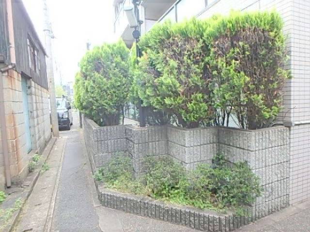 植栽