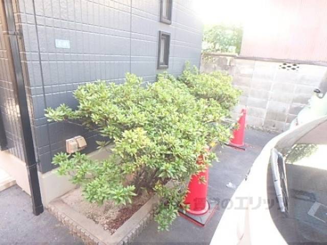 植栽