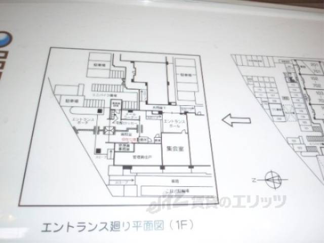 平面図