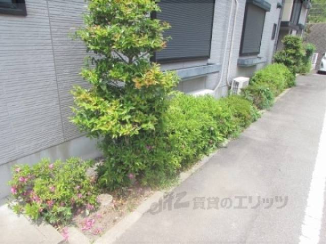 植栽
