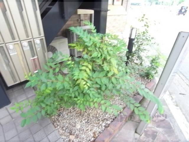 植栽