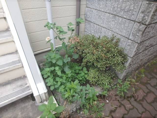 植栽
