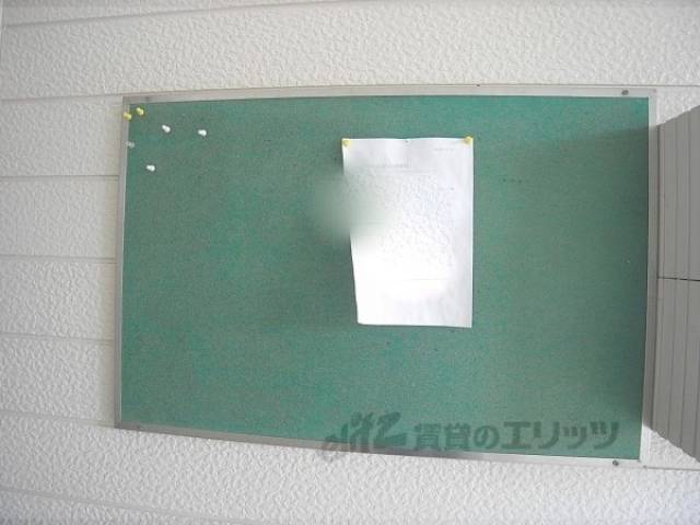 掲示板