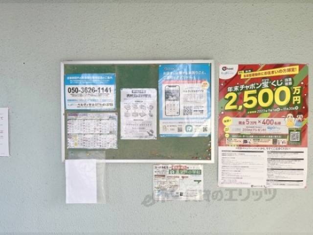 掲示板
