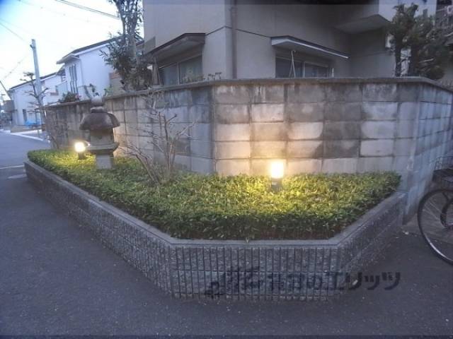 植栽