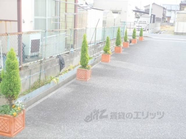 植栽