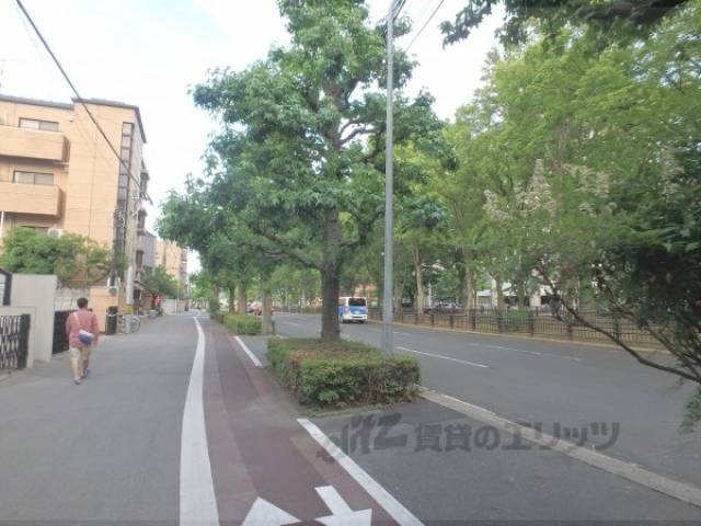 前面道路