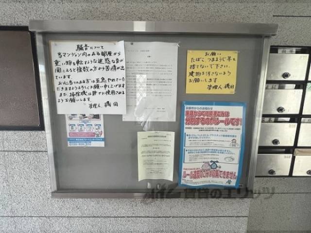 掲示板