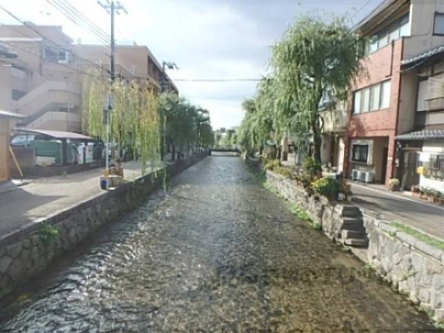 すぐそこの白川疎水