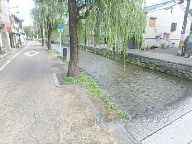 すぐそこの白川疎水