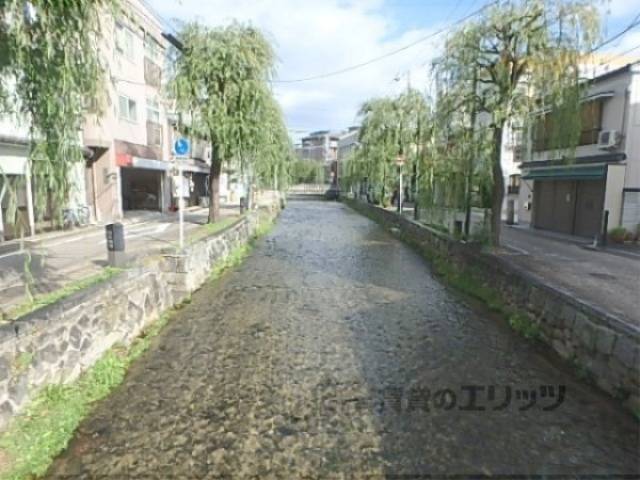 すぐそこの白川疎水