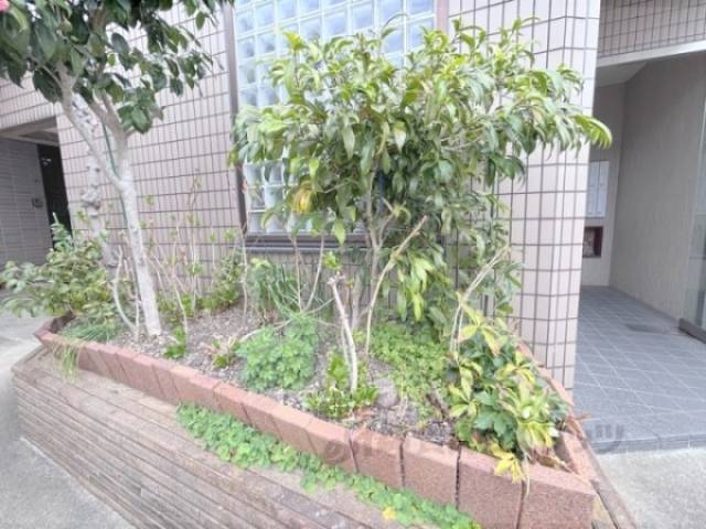 植栽