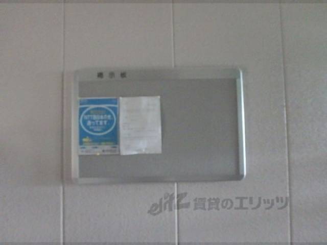 掲示板