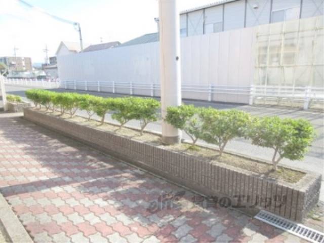 植栽