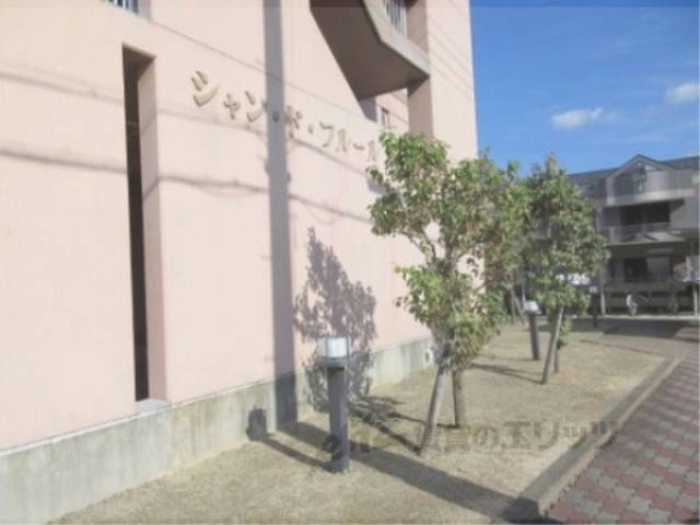 植栽