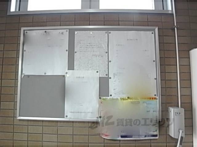 掲示板