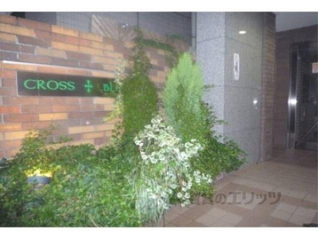 植栽