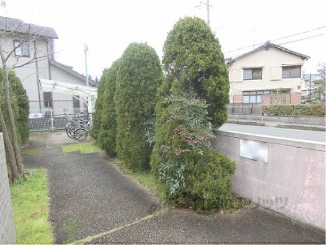 植栽