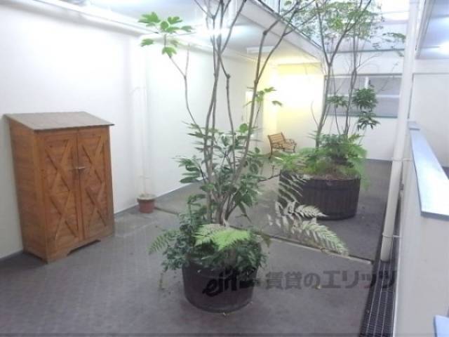 植栽