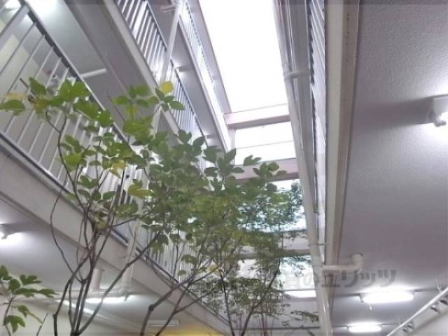 上部