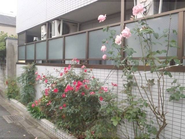 植栽