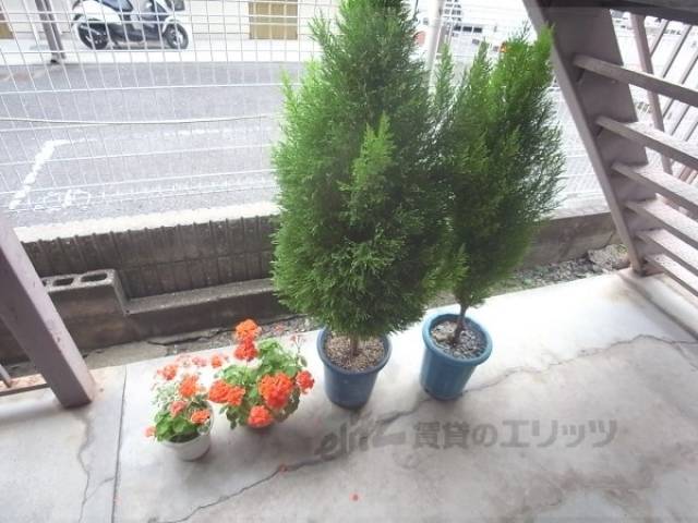 植栽