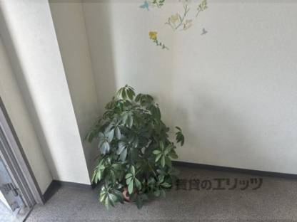 植栽
