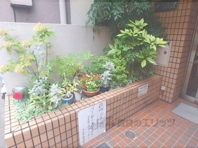 植栽