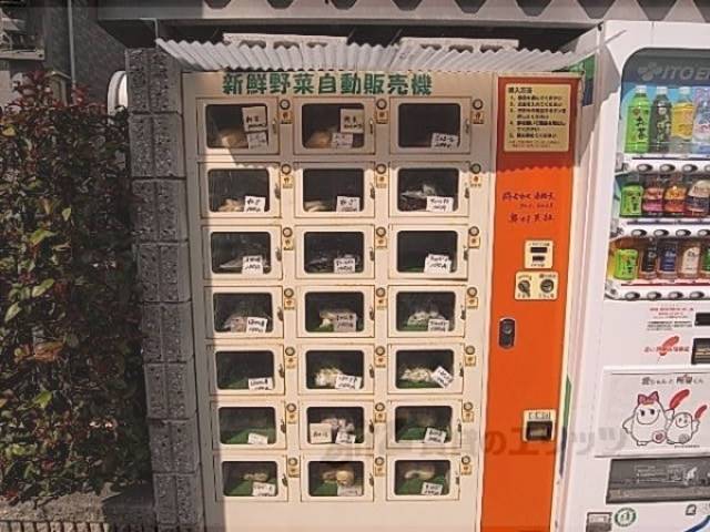野菜自販機