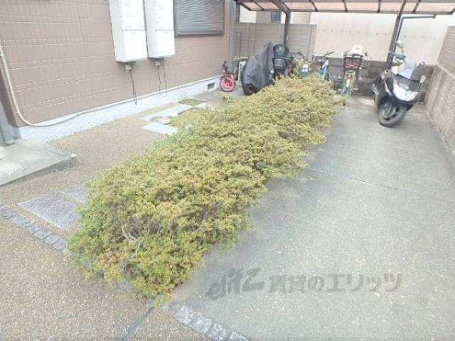 植栽