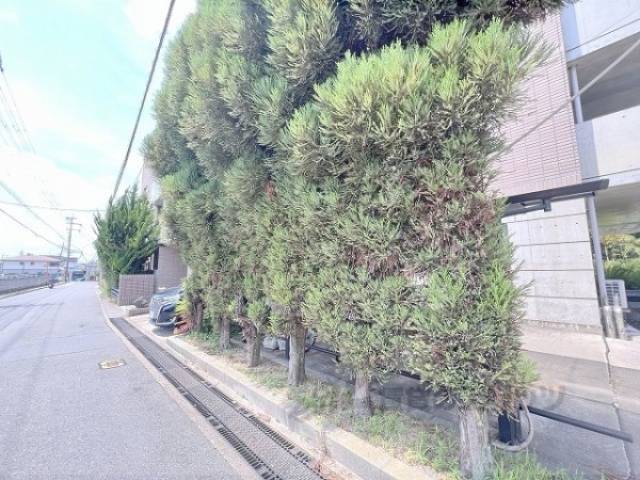 植栽
