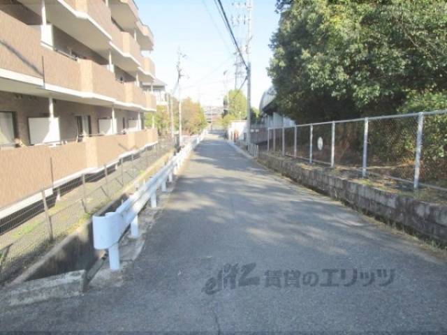 前面道路　ゴミ捨て場