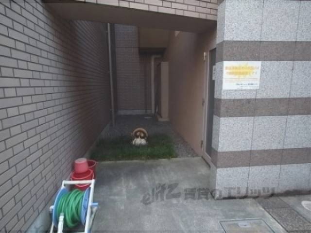 エントランス　入口