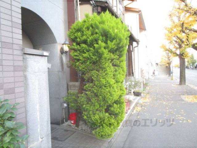 植栽