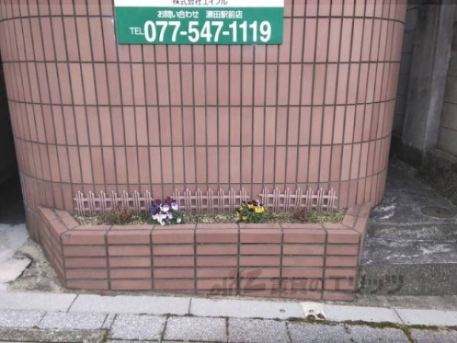植栽