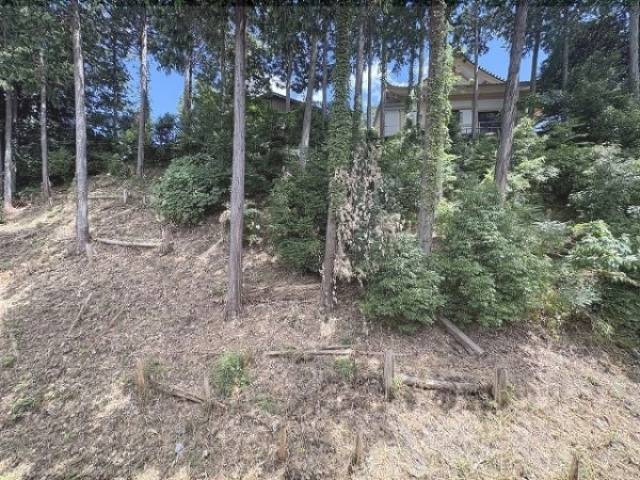 廊下　眺望