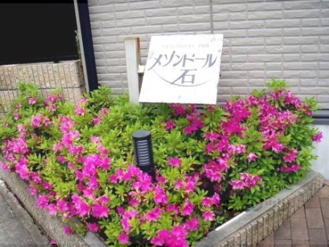 植栽