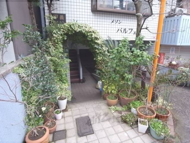 正面