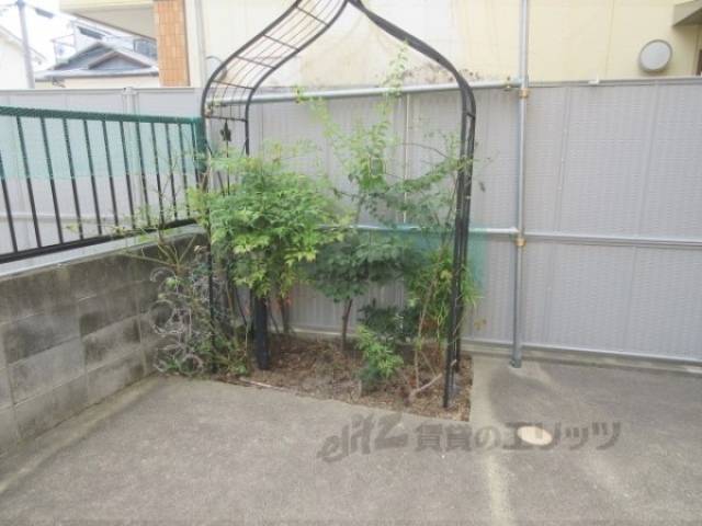 植栽