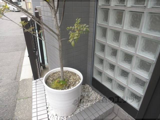 植栽
