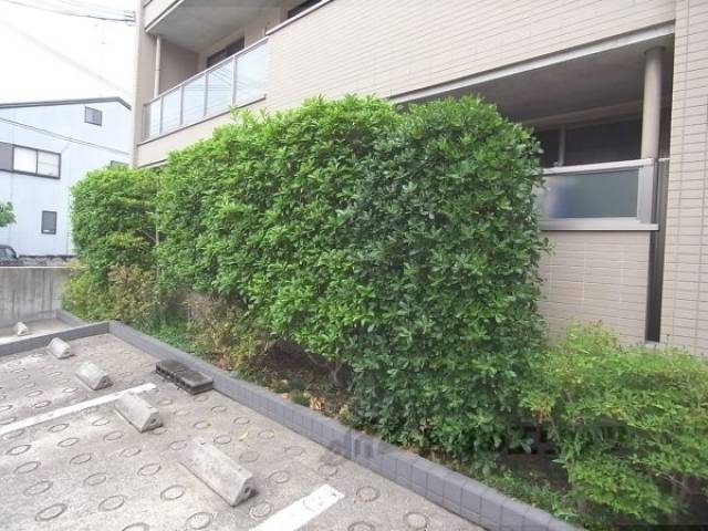 植栽