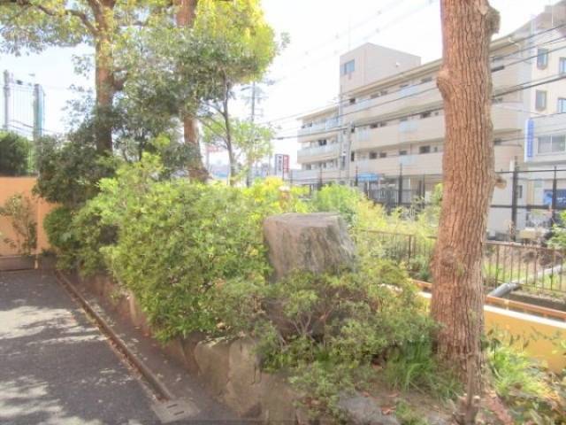 植栽