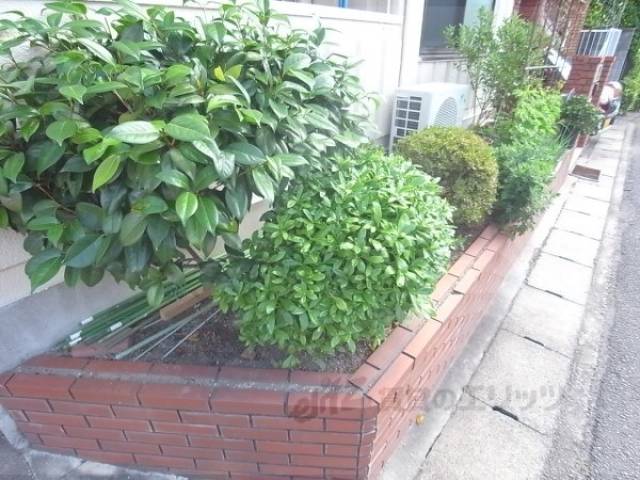 植栽