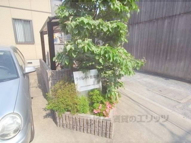 植栽