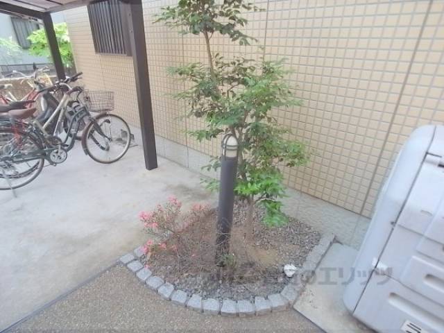植栽