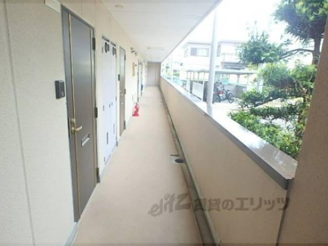 通路