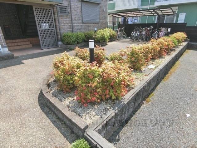 植栽
