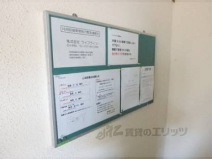 掲示板
